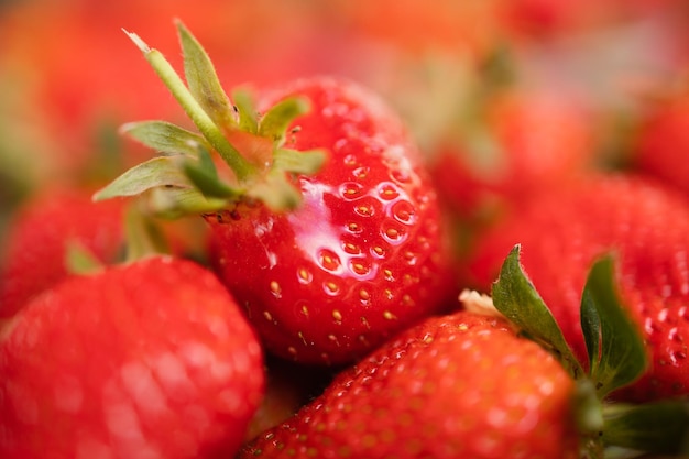 Vue rapprochée des fraises