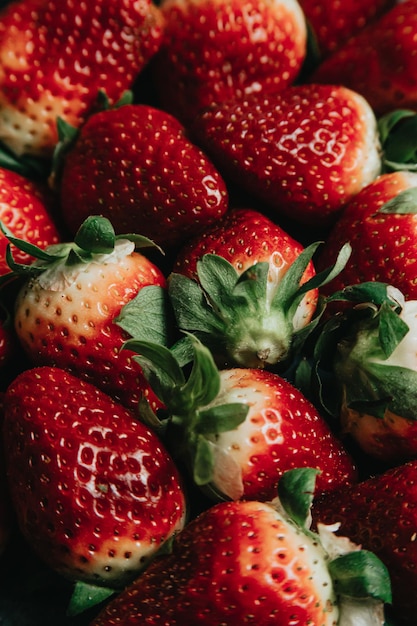 Vue rapprochée des fraises