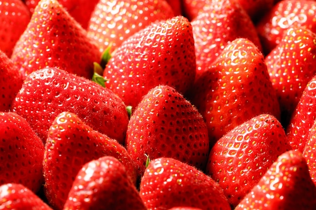 Vue rapprochée des fraises