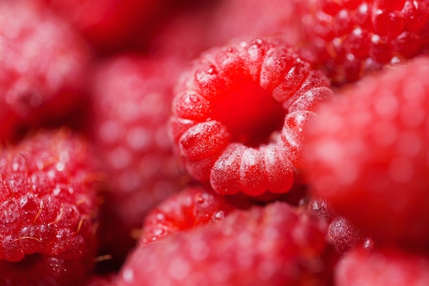 Vue rapprochée des framboises mûres rouges fraîches nature vitamines