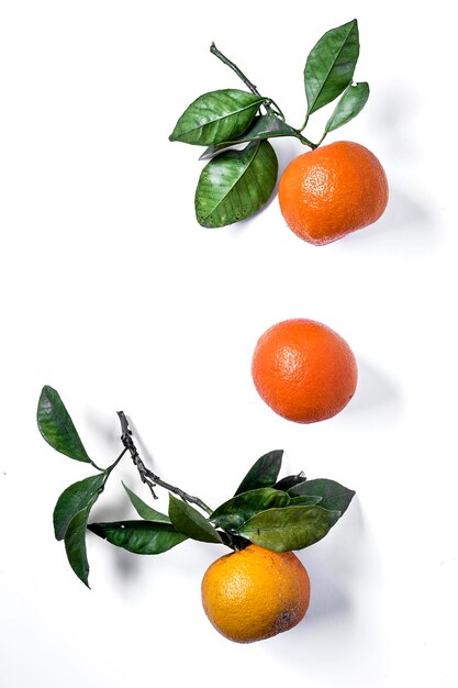 Photo vue rapprochée d'un fruit d'orange sur un fond blanc