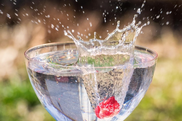 Vue rapprochée d'un fruit tombant dans une boisson éclaboussée