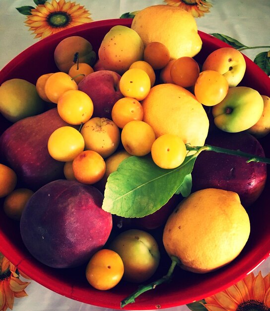 Photo vue rapprochée des fruits dans l'assiette