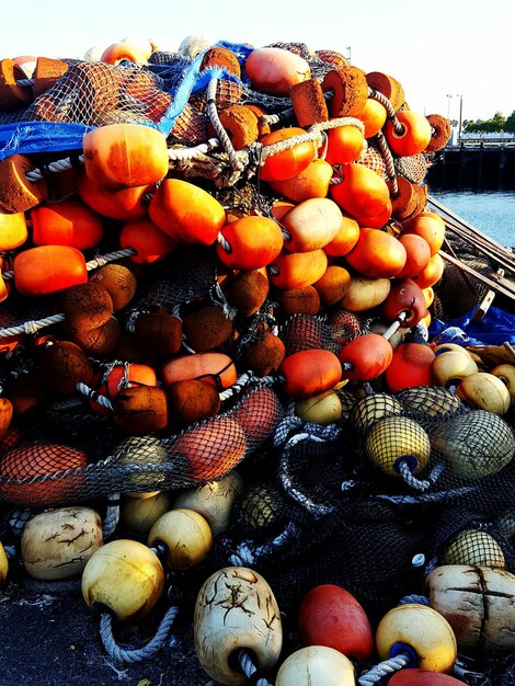 Photo vue rapprochée des fruits dans l'eau