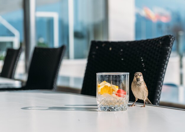 Photo vue rapprochée des fruits dans un verre à boire avec un oiseau perché sur la table