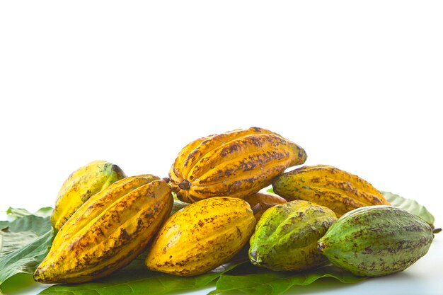 Photo vue rapprochée des fruits et des feuilles de cacao sur fond blanc