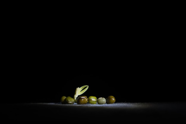 Photo vue rapprochée des fruits sur fond noir