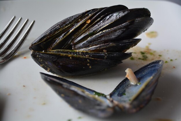 Photo vue rapprochée des fruits de mer dans l'assiette sur la table