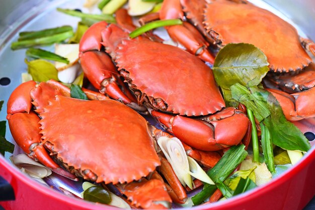 Photo vue rapprochée des fruits de mer dans l'assiette