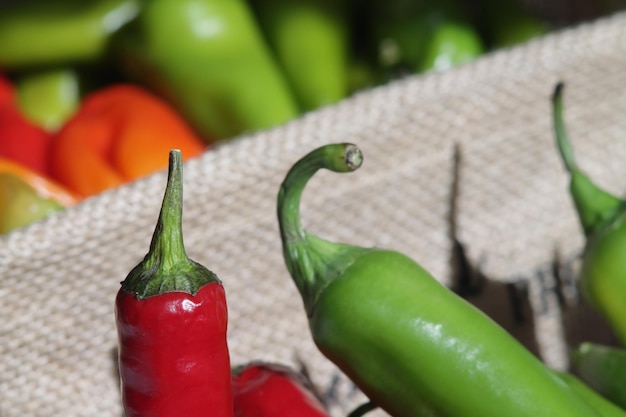 Vue rapprochée des fruits