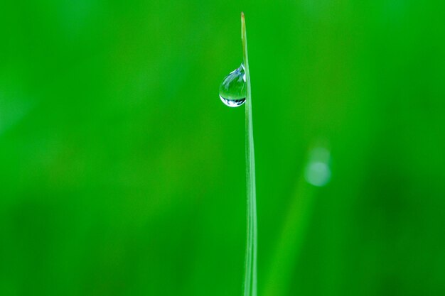 Photo vue rapprochée d'une goutte d'eau sur une feuille