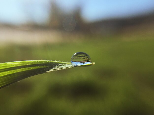 Vue rapprochée d'une goutte d'eau sur une feuille