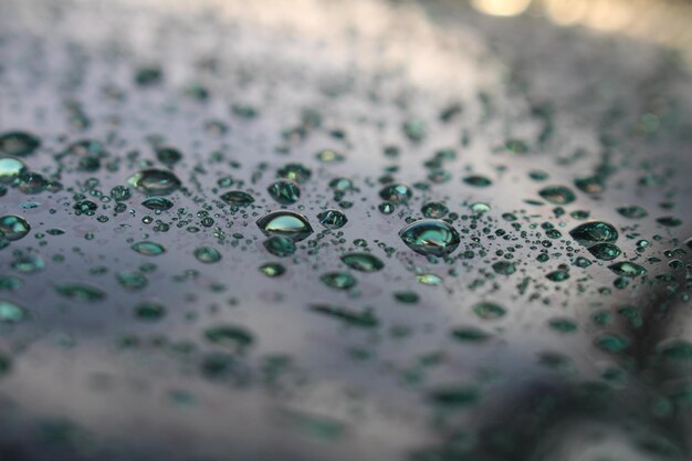 Photo vue rapprochée des gouttes d'eau sur la feuille