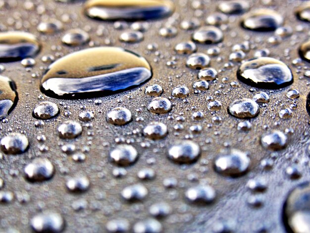 Photo vue rapprochée des gouttes d'eau sur la feuille