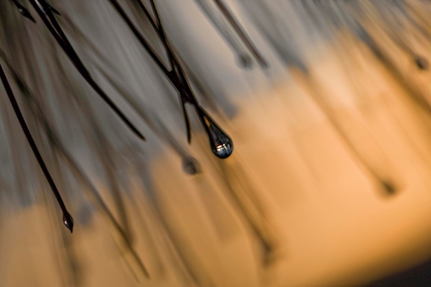 Photo vue rapprochée des gouttes d'eau sur le verre