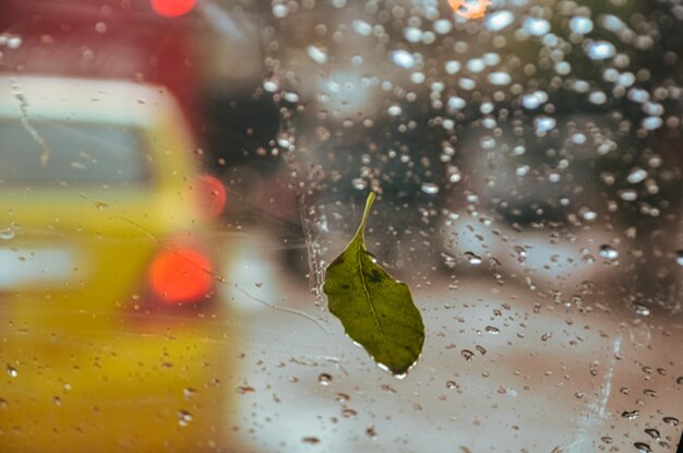 Vue rapprochée des gouttes de pluie sur une fenêtre en verre