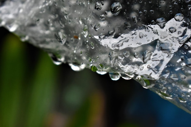 Vue rapprochée des gouttes de pluie sur la glace