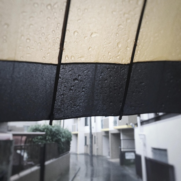 Photo vue rapprochée des gouttes de pluie sur le sol