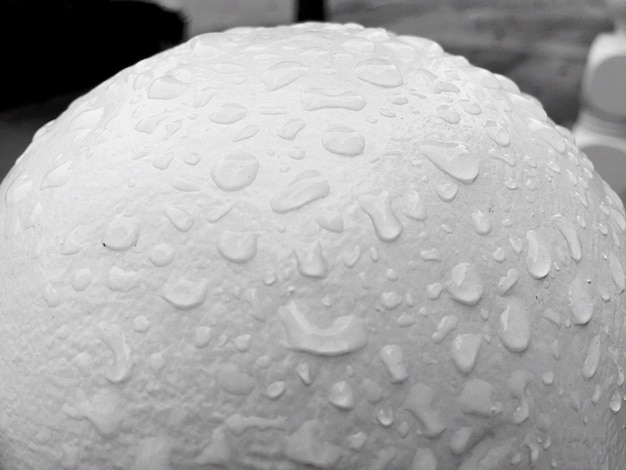 Vue rapprochée des gouttes de pluie sur la sphère blanche