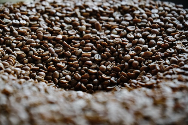 Photo vue rapprochée des grains de café