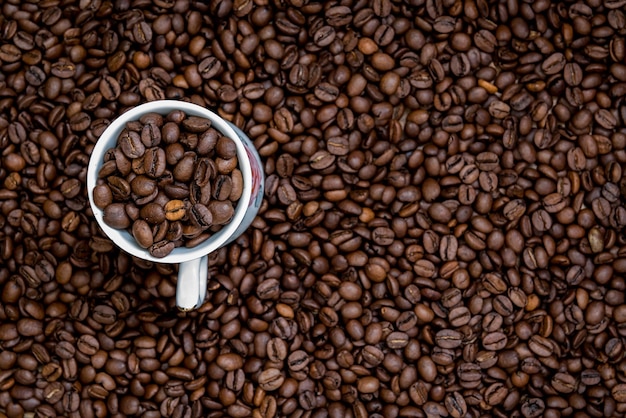 Vue rapprochée des grains de café