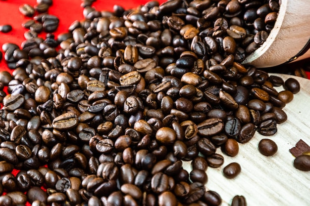 Vue rapprochée des grains de café