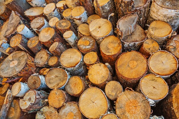 Vue rapprochée sur gros tas de troncs d'arbres coupés