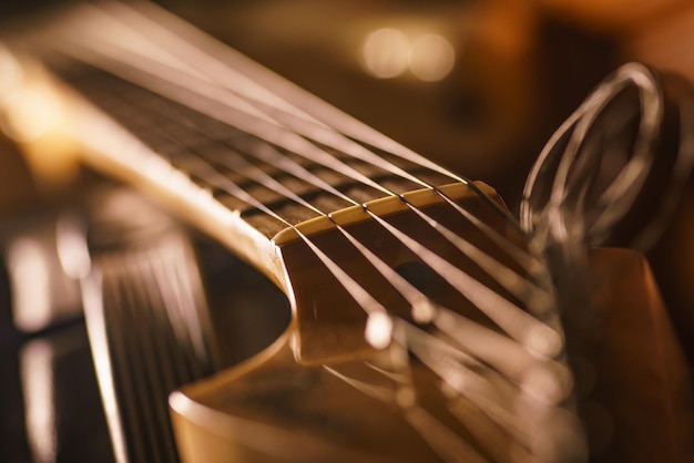 Photo vue rapprochée de la guitare à noix