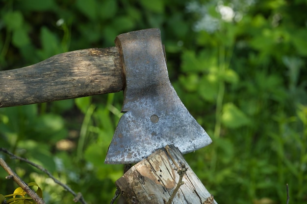 Vue rapprochée d'une hache ancrée dans le bois entourée d'herbe verte