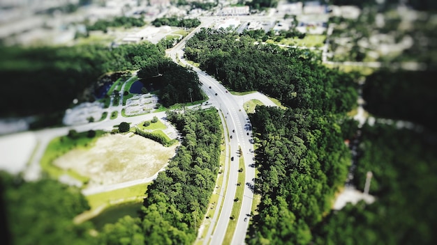 Photo vue rapprochée de l'herbe verte fraîche