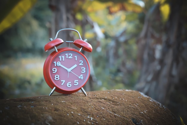 Vue rapprochée de l'horloge sur bois