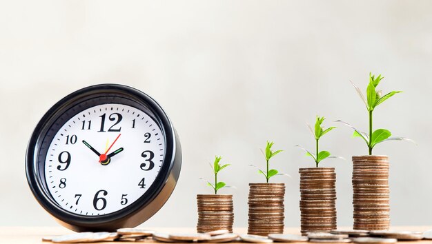 Photo vue rapprochée de l'horloge sur une plante en pot contre le mur