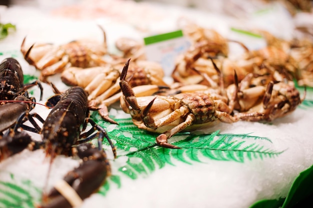 Photo vue rapprochée d'un insecte sur une assiette