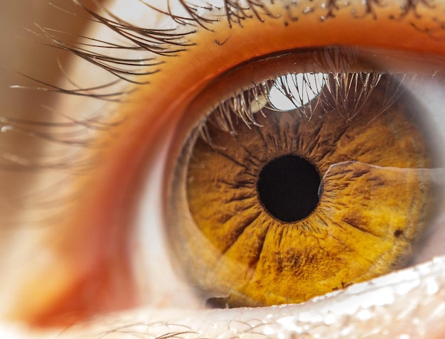 Photo vue rapprochée de l'iris de la couleur de l'œil féminin utile pour l'ophtalmologie ou l'imagerie optométrique