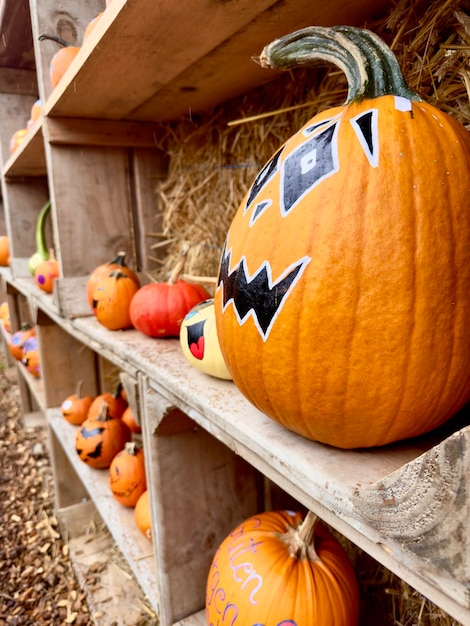 Vue rapprochée de Jack o'lantern sur le terrain