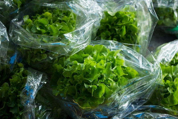 Photo vue rapprochée des légumes à feuilles à vendre au marché