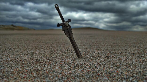 Photo vue rapprochée d'un lézard sur le sable contre le ciel