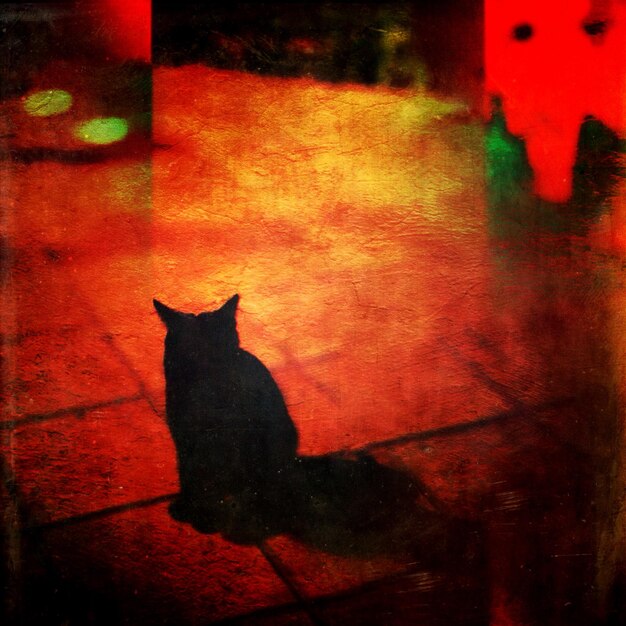 Vue rapprochée de la lumière rouge