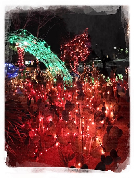 Photo vue rapprochée des lumières de noël