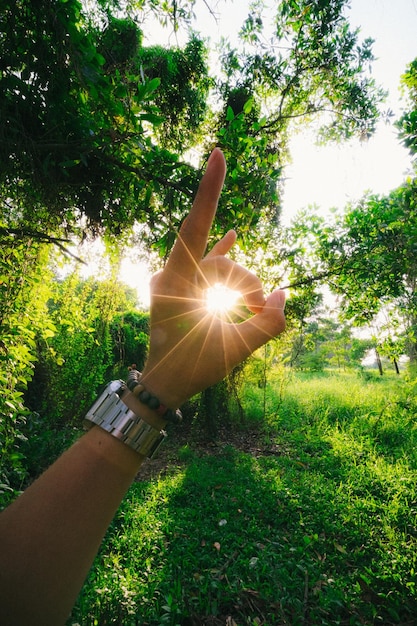 Photo vue rapprochée de la main contre la lumière du soleil