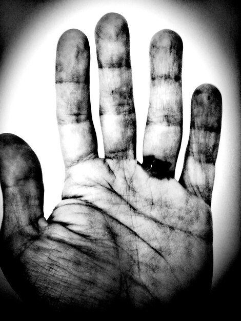 Photo vue rapprochée d'une main humaine sur fond blanc