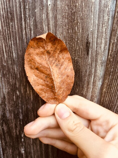 Photo vue rapprochée d'une main tenant une feuille