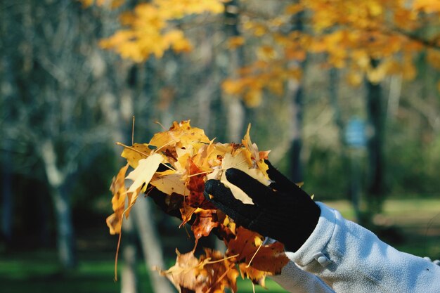 Photo vue rapprochée de la main tenant des feuilles d'érable en automne