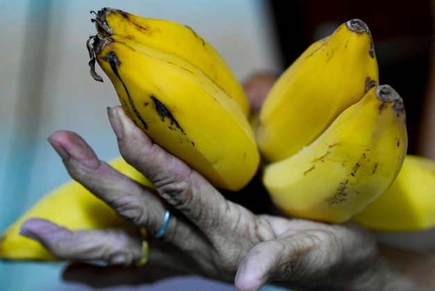 Vue rapprochée d'une main tenant des fruits