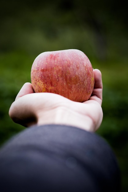 Photo vue rapprochée de la main tenant une pomme