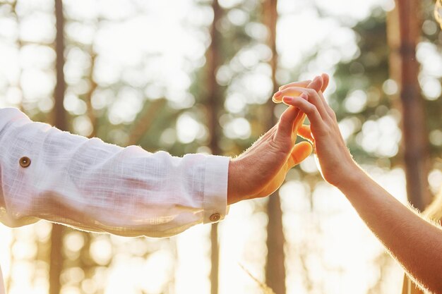 Photo vue rapprochée des mains un couple heureux est à l'extérieur dans la forêt pendant la journée