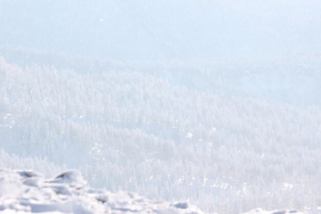 Vue rapprochée de la neige sur le paysage