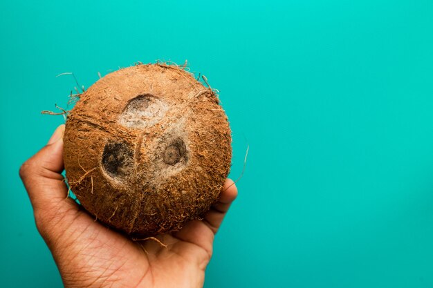 Vue rapprochée d'une noix de coco sur un fond bleu dans un studio pendant la journée