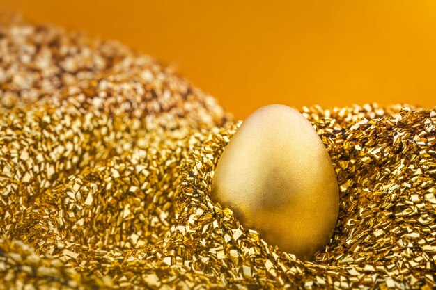Photo vue rapprochée de l'œuf d'or