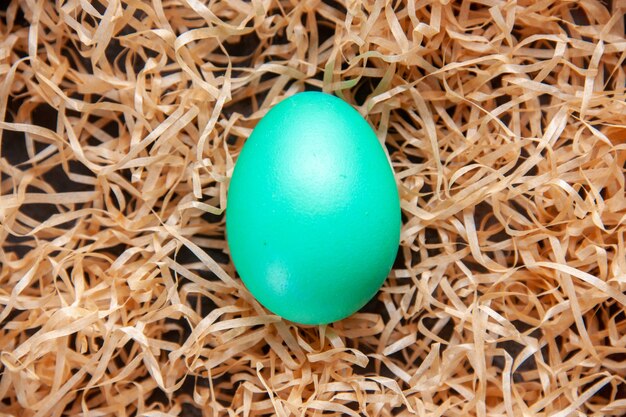 Vue rapprochée d'un œuf vert clair posé sur de la paille jaune avec un espace libre
